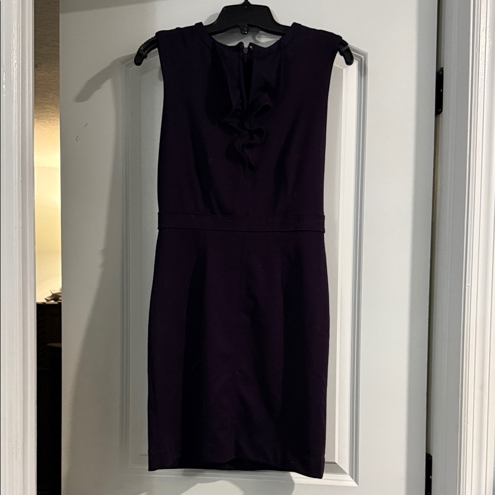 Banana Republic Dark Purple Mini Dress